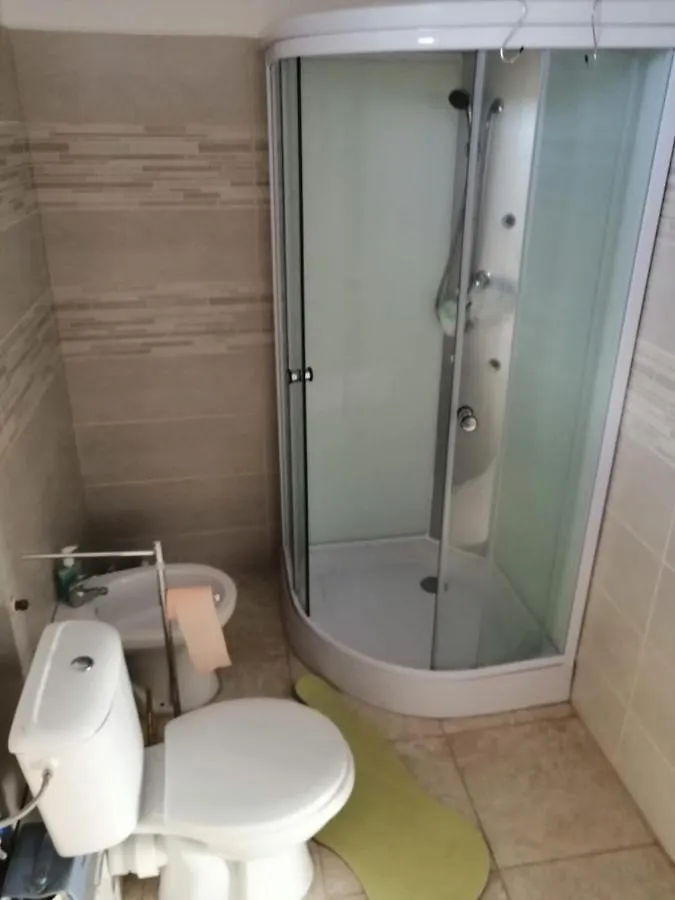 ブカレスト Casa Mirelaヴィラ 別荘