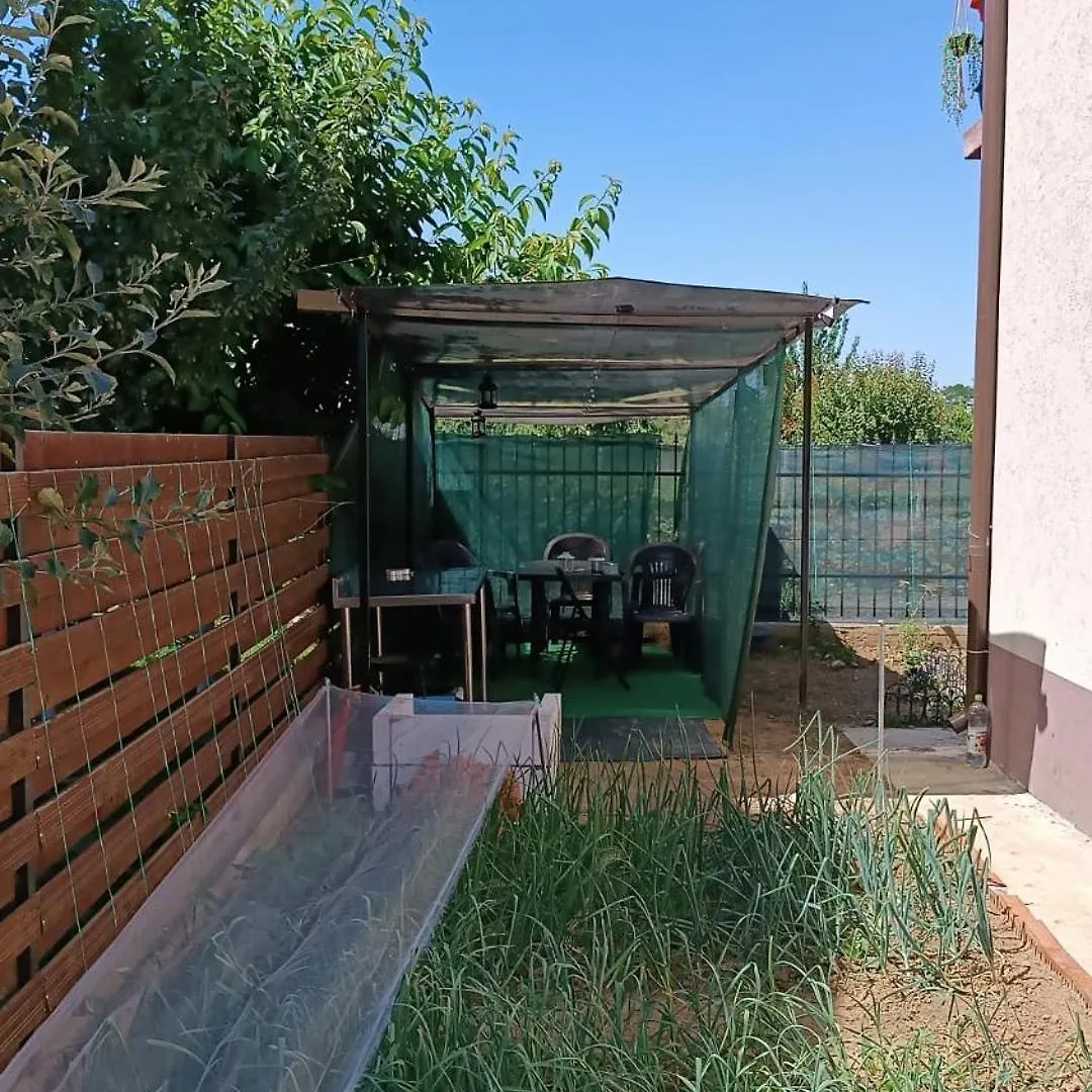 Σπίτι διακοπών Casa Mirela Βίλα Βουκουρέστι